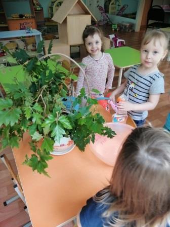 Зеленые друзья