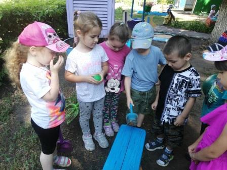 Познаем мир